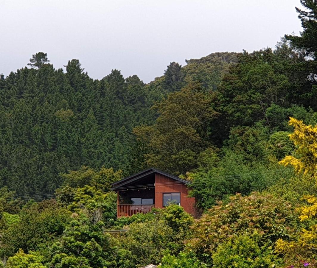 Garden View Cottages Picton Exteriér fotografie