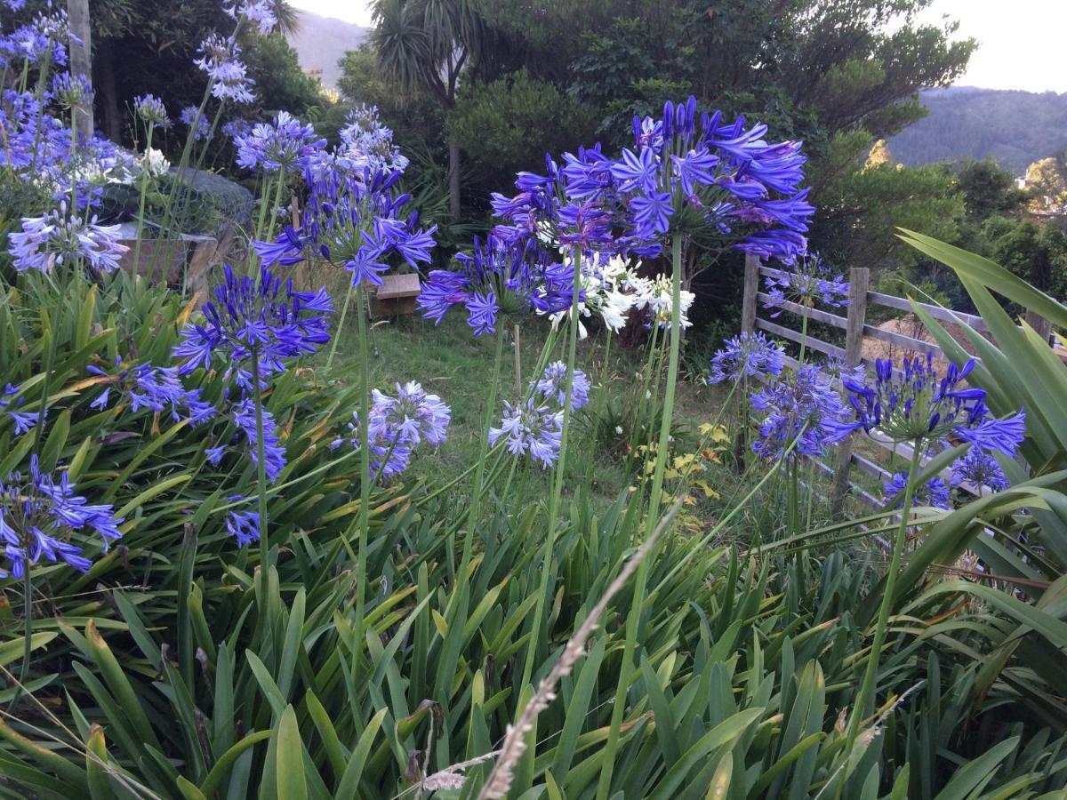 Garden View Cottages Picton Exteriér fotografie